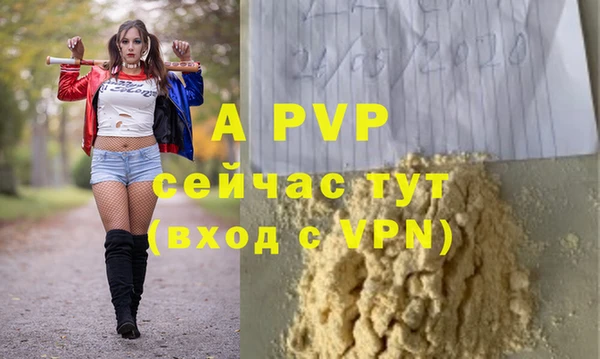 сатива Армянск