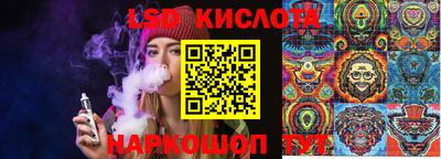 прущие грибы Кунгур