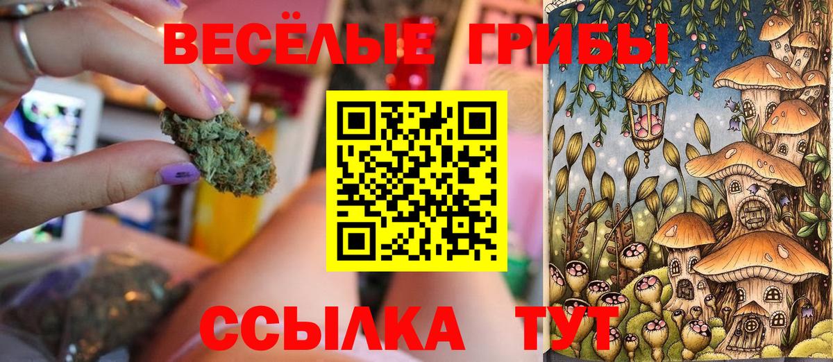 Галлюциногенные грибы Magic Shrooms  Псилоцибиновые грибы Psilocybe  Гуково  Вход с VPN 