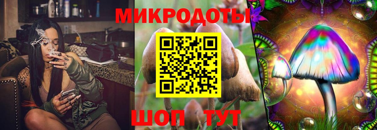 Псилоцибиновые грибы GOLDEN TEACHER Гуково
